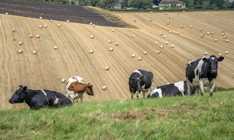 Government must focus on future of food security, warns NBA