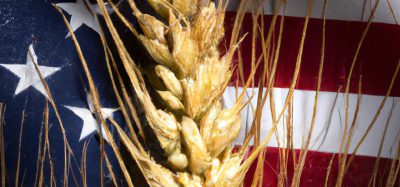 food insecurity