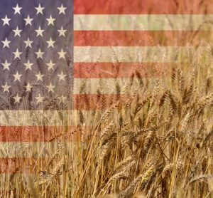 USDA expands wheat export market