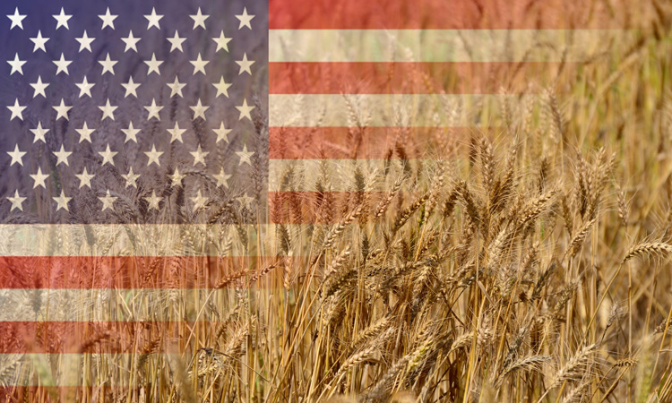 USDA expands wheat export market