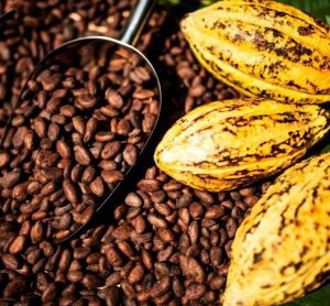 Bia Analytical launches Cocoa Consortium to strengthen fraud detection and transparency