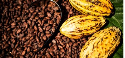 Bia Analytical launches Cocoa Consortium to strengthen fraud detection and transparency