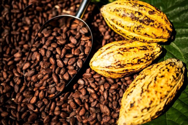 Bia Analytical launches Cocoa Consortium to strengthen fraud detection and transparency