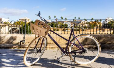 Velosophy bike