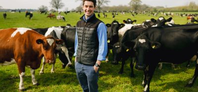 McDonald’s and Arla strengthen dairy partnership with nature-led sustainability drive