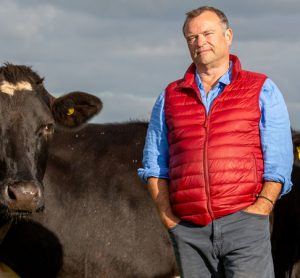 Organic farming cows and Tim Mead