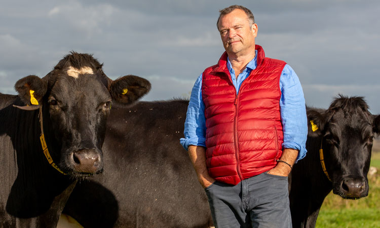Organic farming cows and Tim Mead