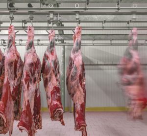 UK abattoir ordered to pay over £11,000 for hygiene offences