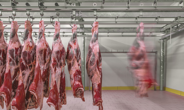 UK abattoir ordered to pay over £11,000 for hygiene offences