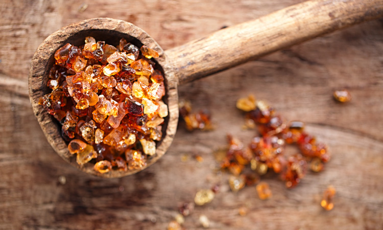 Acacia gum improves texture and shelf-life of bread, says supplier