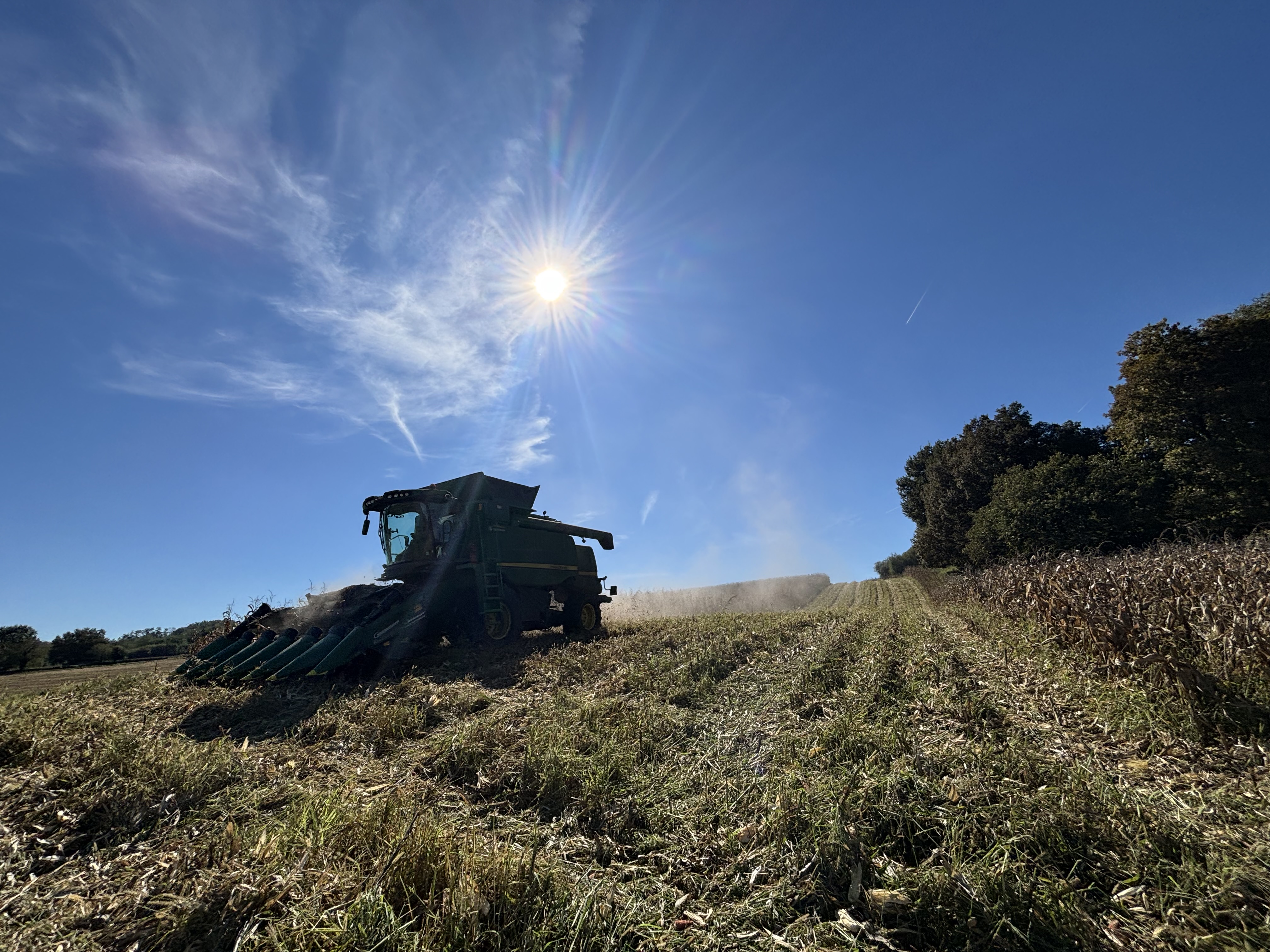 Tate & Lyle drives regenerative agriculture in Europe to build climate-resilient supply chain