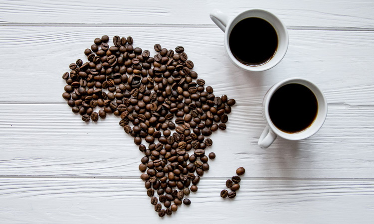 Report calls for International Coffee Agreement to end African exploitation