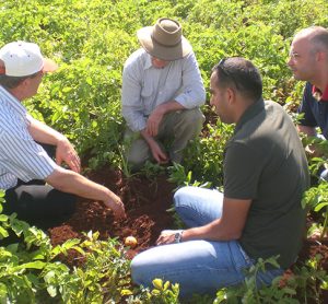 PepsiCo agricultural practices