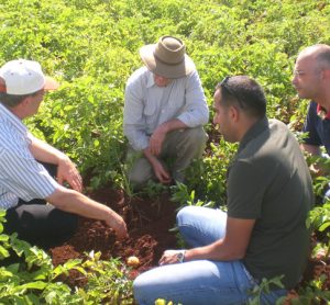 Creating a sustainable food system