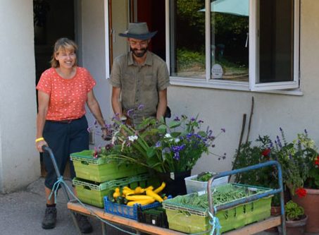 Fruit and veg delivery scheme