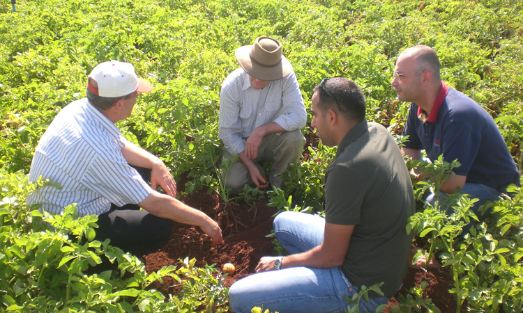 Creating a sustainable food system