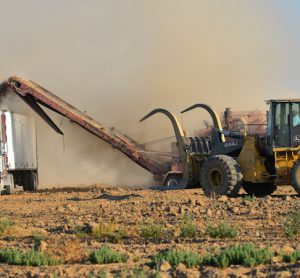 California's air pollution controls increased annual agricultural productivity by $600m