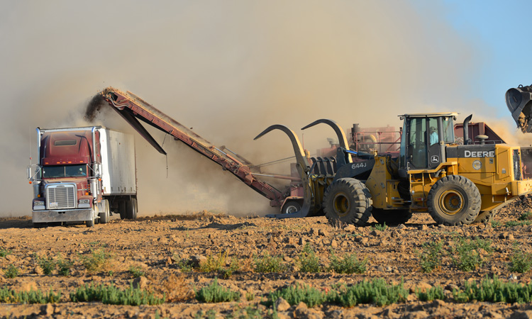 California's air pollution controls increased annual agricultural productivity by $600m