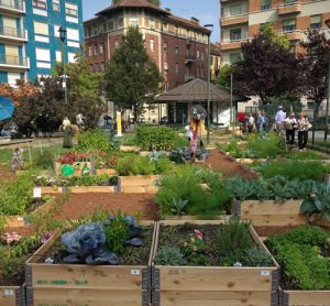 Study says urban land could grow fruit and veg for 15 percent of population