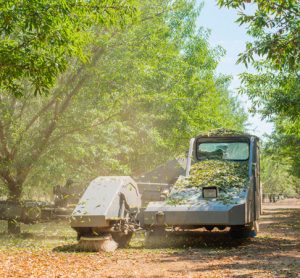 Almond Board of California invests $5.9 mn in next-gen farming research