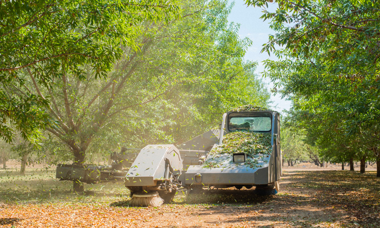 Almond Board of California invests $5.9 mn in next-gen farming research