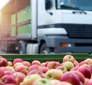 Is a lack of supply chain collaboration at the root of food product recalls?