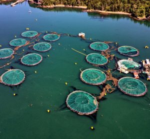 aquaculture