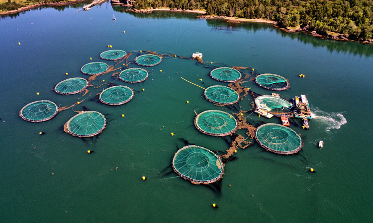 aquaculture