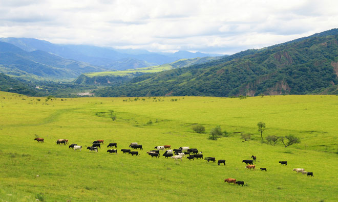 argentinian beef china trade deal