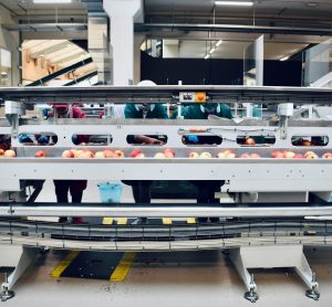 Digitalising pest control: a new frontier for food and drink producers
