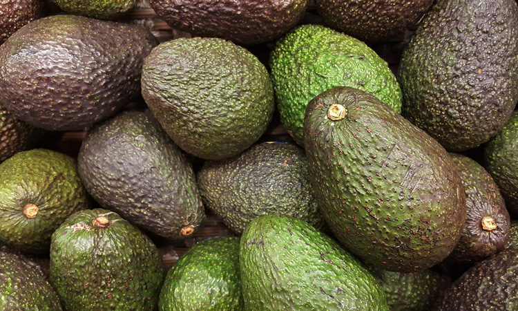 Study finds avocados may help reduce obesity and prevent diabetes