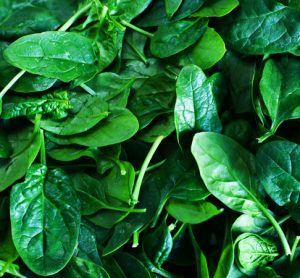 spinach has been used to help create cultured meat