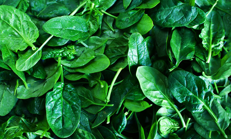 spinach has been used to help create cultured meat
