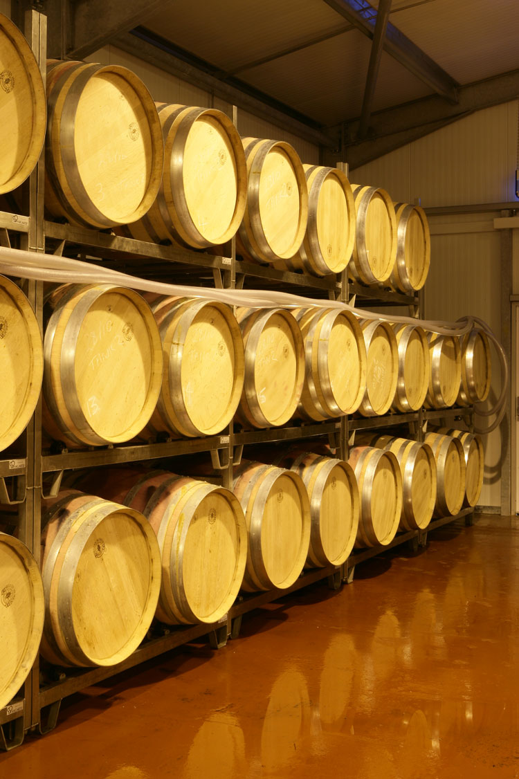 barrels wines