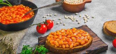 Braised beans in tomato sauce in cast iron pan. Vegetarian sandwiches with bean. Open sandwiches with bread, stewed white beans. Raw white beans, pieces of rye bread for sandwiches. Grey background.