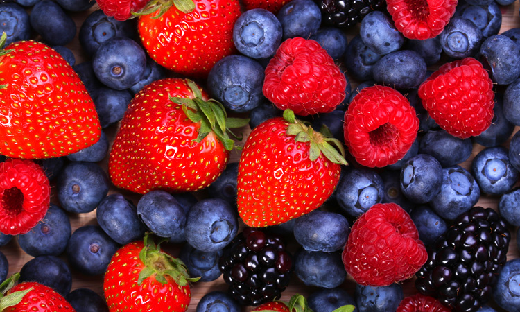 Major American berry producers commit to recyclable packaging