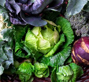 assorted Brassicas