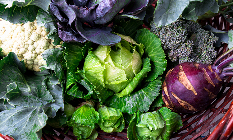 assorted Brassicas