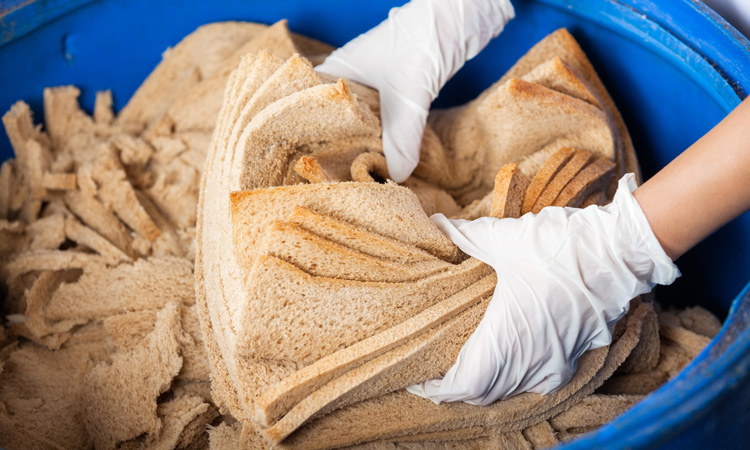 Project develops novel method to repurpose bread waste