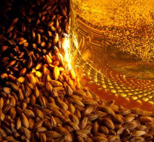 Reducing carbon footprint through sustainable brewing