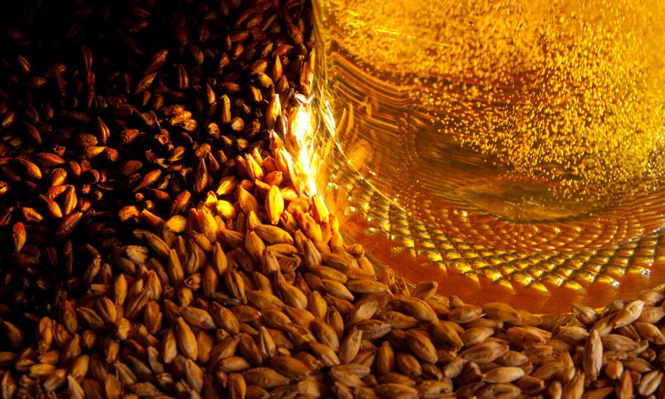 Reducing carbon footprint through sustainable brewing