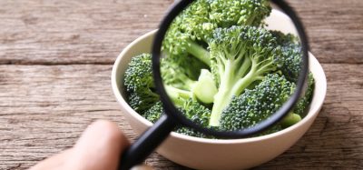 Italy orders broccoli recall after botulism outbreak causes death and hospitalisations