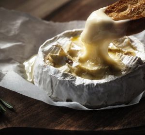 Camembert cheese mould