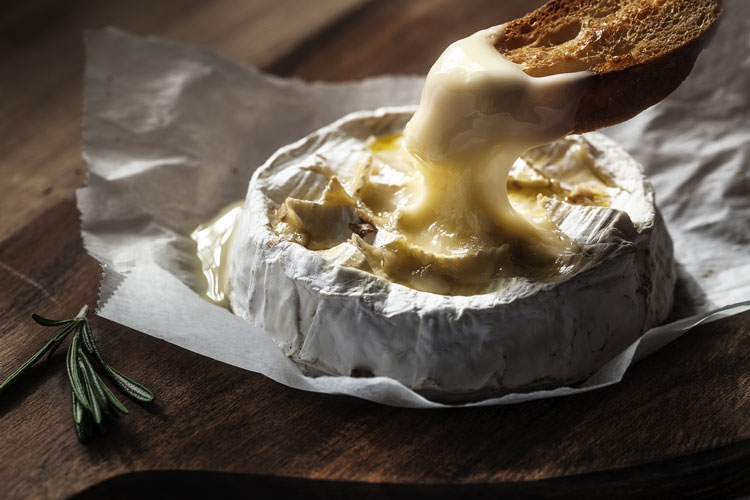 Camembert cheese mould