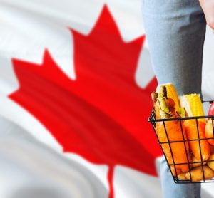 Report predicts $487 increase of food cost for Canadian families in 2020