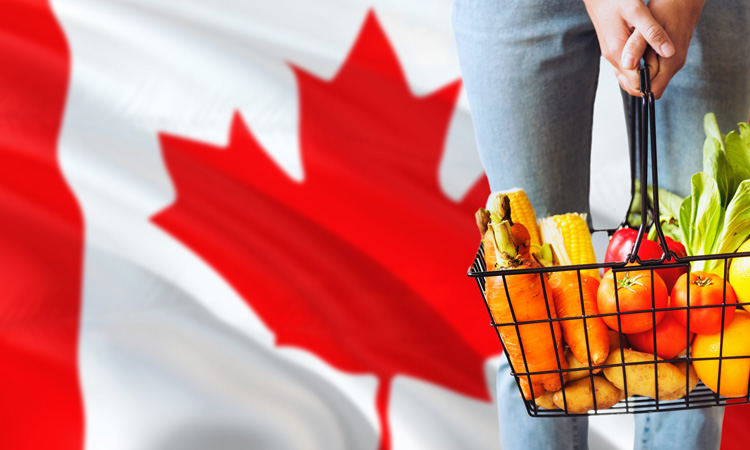 Report predicts $487 increase of food cost for Canadian families in 2020