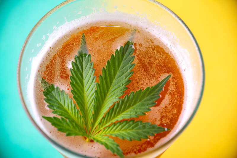 cannabis infused beverage