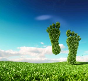 carbon neutrality image green feet