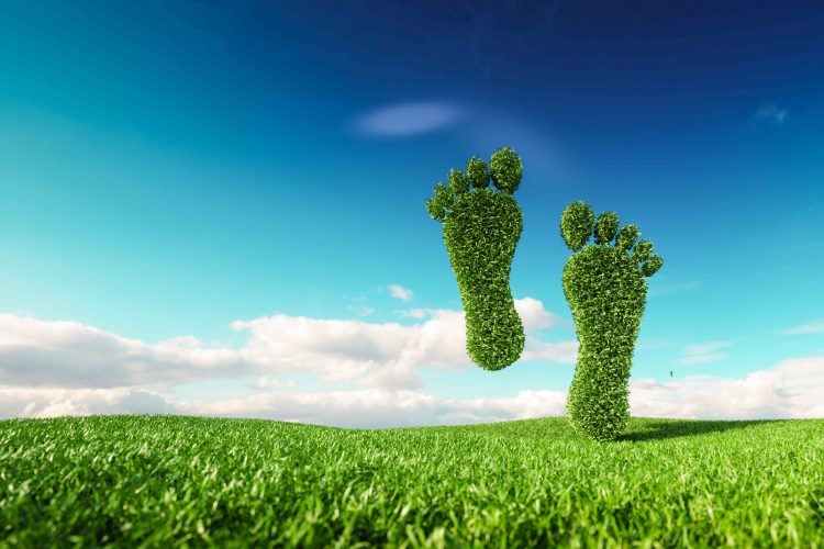 carbon neutrality image green feet