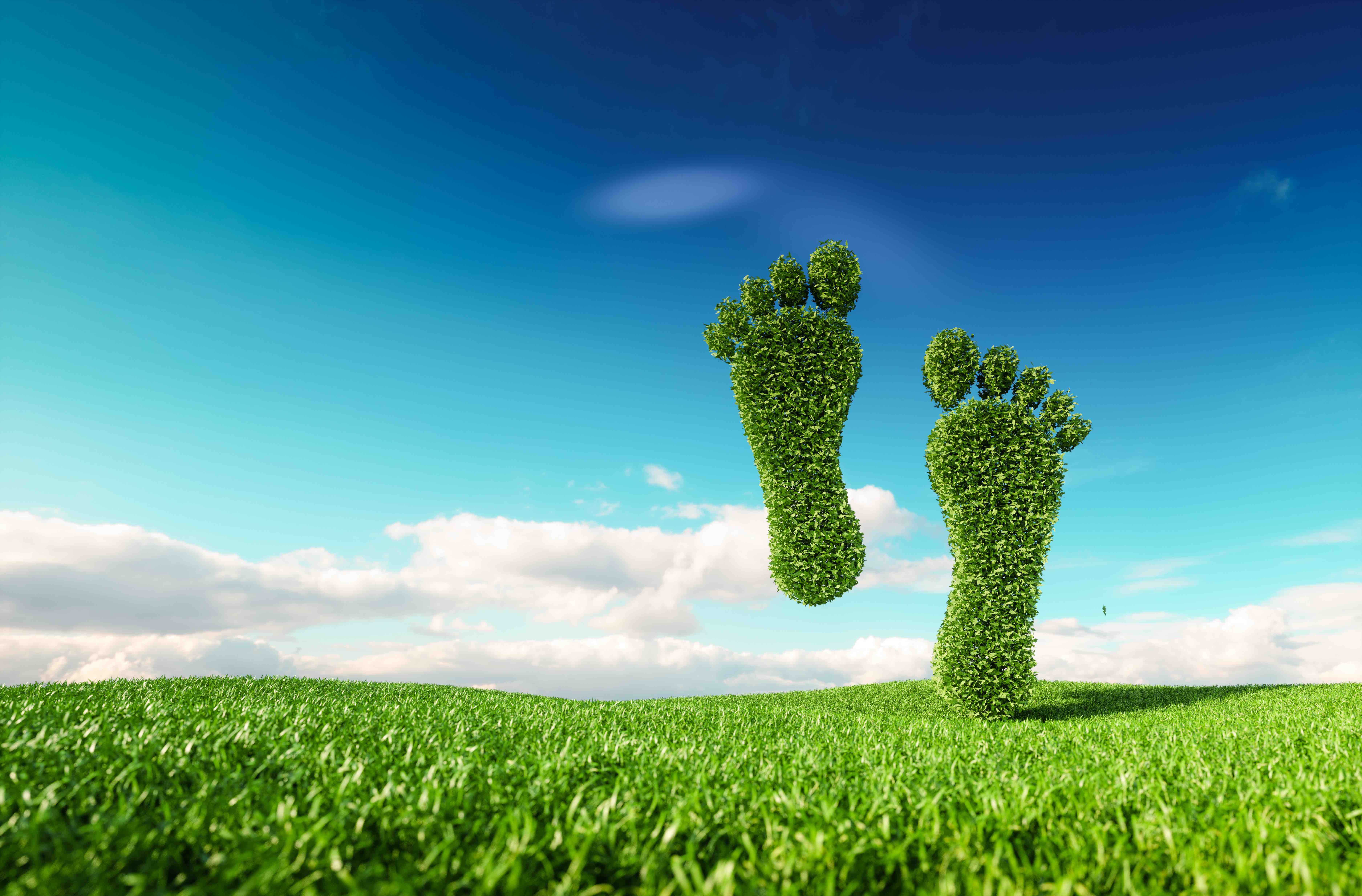 carbon neutrality image green feet